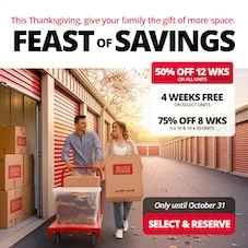 Access Storage - Brandon Green Acres Promotion